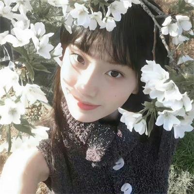 马路对面的房子